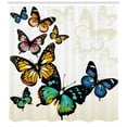 thumbnail image 3 of Ambesonne Colorful Shower Curtain, Monarch Shades Ombre, 69"Wx75"L, Multicolor, 3 of 3