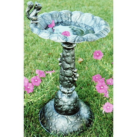 Squirrel Bird Bath
