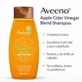 thumbnail image 3 of Aveeno Apple Cider Vinegar Blend Shampoo 532 ml, 3 of 4