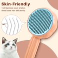 thumbnail image 3 of GHSDFBB Cat Brush Sold Out, Beware of Faker, 3 of 7