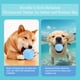 thumbnail image 4 of Bola De Juguetes Para Perros Interactivos, Bola De Juguete Para Perros En Movimiento Automático Eléctrico Eléctrico Recargable Pets Bola Automática Bola Automática Smart, 4 of 7