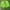 c_Fluorescent green, variant on Xysaqa Men's Workout Athletic Shorts, Men Quick Dry Gym Running Shorts Big & Tall Lightweight Beach Sports Shorts M-5XL