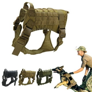 6 Practical Uses For A Tactical Dog Harness - K9sOverCoffee