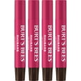thumbnail image 1 of Burt's Bees 100% Natural Moisturizing Lip Shimmer, Rhubarb - 4 Tubes, 1 of 14