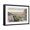 Black Frame, variant on Art.com Palm Springs from Tahquiz Canyon Art Print, 18" x 12"