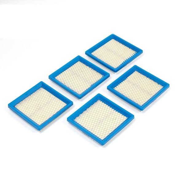 Briggs & Stratton A/C - Filter (5 x 399877S) | 4103