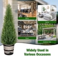 thumbnail image 3 of ROMSWI 3 ft Artificial Cedar Tree with Planter Set 2 Faux Topiary Cedar Plants Realistic Potted Plants for Home Porch Office Decor Faux Pine Tree for Housewarming Gift, 3 of 11