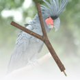 thumbnail image 3 of 4 PCS Natural Wood Bird Perch Parrot Perch Stand-Perch Platform Cage Accessories For Parrotlets Budgies Cockatiels, 3 of 8
