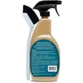 thumbnail image 2 of Limpiador de lechada Granite Gold en aerosol con brocha, 710 ml, 2 of 9