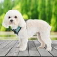 thumbnail image 6 of PUPTECK Small Dog Harness and Leash Set, Soft A-line Chest Strap with Bowite Bell, No Pull Dog Harness for Small Dogs Puppies, 6 of 7