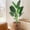 A, variant on 60 inchs Artificial Tree Bird of Paradise with 10 Trunks, 5 Feet Faux Plant Fake Banana Tree Plant with Pot for Home, Decor, Indoor, Outdoor, Living Room, Office-1Pack