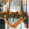thumbnail image 5 of Dried Orange Slice Decorations,1Pack Realistic Natural Touch,QZS Dried Orange Slices Hanging Garland for Fireplace,Table,Christmas Tree,Home, 5 of 6