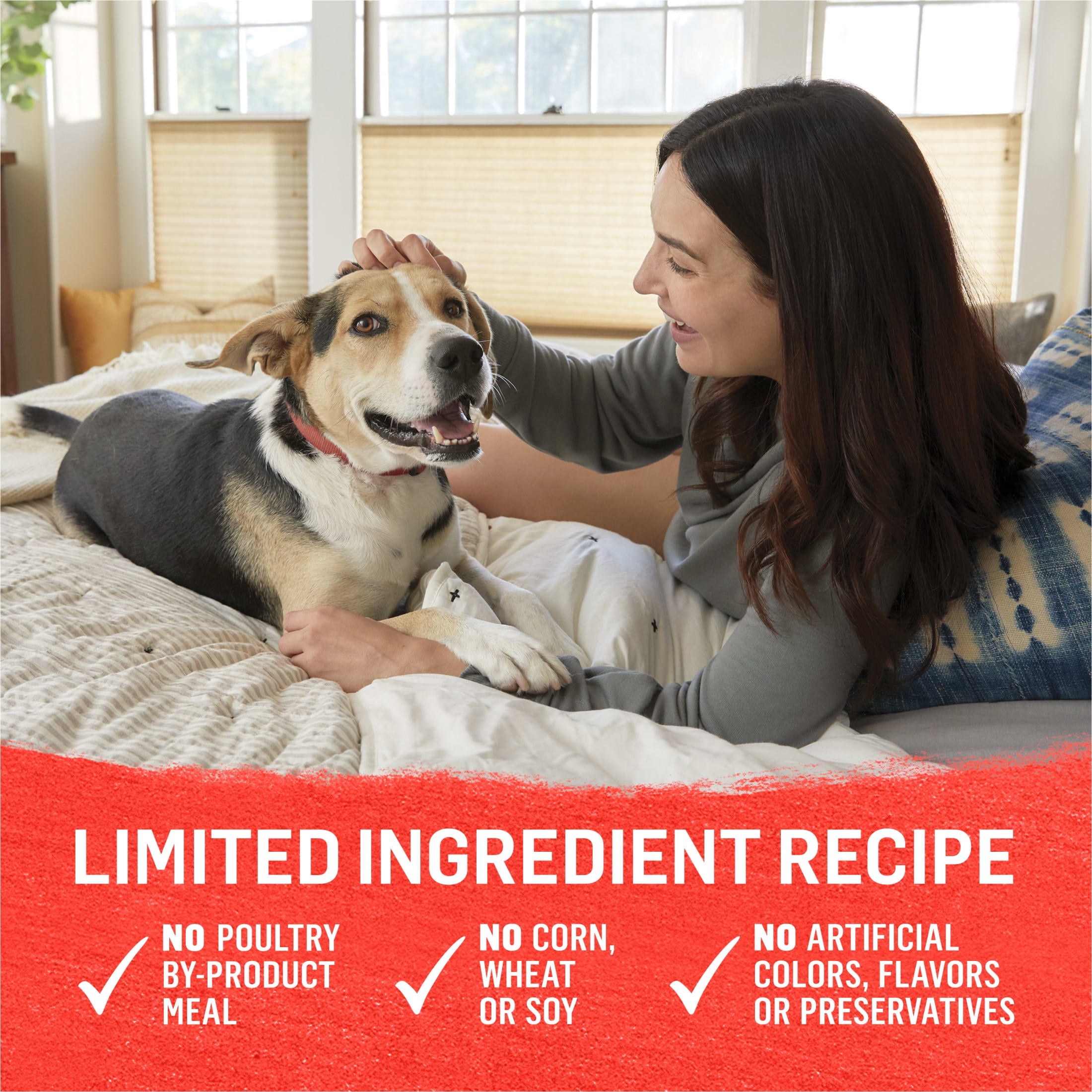 (12 pack) Purina Beyond Immune Health Wet Dog Food High Protein Ground Entree Beef & Potato, 13 oz Can