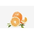 thumbnail image 5 of Oranges Fruit Adult White Crew Neck Short Sleeve Tee-Medium, 5 of 6