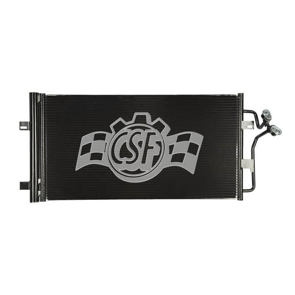 CSF 10617