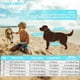thumbnail image 5 of Chaleco salvavidas para perros EMUST Shark Design ajustable azul L, 5 of 6