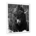 thumbnail image 2 of Designart 'Portrait Of Monochrome Wild Bull In Winter Forest II' Farmhouse Framed Art Print, 2 of 4