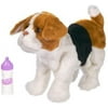 furReal Frr Nb Puppy Beagle