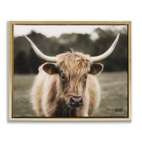 Stupell Industries Farmhouse Peaceful Cattle Rural Open Farmland Gold Floating Frame Canvas Art, 31 x 25, by Dakota Diener