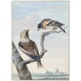 thumbnail image 2 of Aert Schouman 19x24 Black Ornate Framed Double Matted Museum Art Print Titled: Two Birds; an Apple Finch (Coccothraustes Coccothraustes) and a Keep (Fringilla Montifringilla) (1752, 2 of 5
