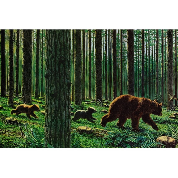 "Bear Walk" Painting Print on Wrapped Canvas