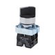 thumbnail image 1 of Interruptor Selector Rotativo 2 Posiciones 2NO Auto-Bloqueo AC 380V 10A 22mm Montaje en Panel, 1 of 4