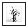 thumbnail image 1 of Lone Dead Tree Silhouette Black White 8X8 Inch Square Wooden Framed Wall Art Print Picture with Mount, 1 of 4