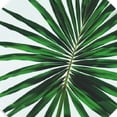 thumbnail image 6 of Orinice Palm Leaf Round Table Cover Stain Resistant Washable Indoor Outdoor Tablecloth Kitchen Dining Wedding Parties Table Cloth 100% Polyester Fiber 38-42, 6 of 8
