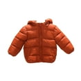 thumbnail image 2 of CSCHome Hooded down Jacket for Boys Girls 1-5 Years Old Winter Warm Jacket Windproof Light down Padded Jacket, 2 of 7