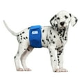 thumbnail image 3 of Paw Inspired Reusable Male Dog Diapers, Washable Belly Bands for Male Dogs, Dog Wraps for Incontinence (Small (3ct), Assorted (White Lining)), 3 of 6