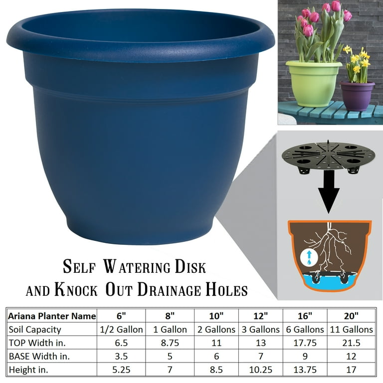 Bloem Ariana Self Watering Planter 6 Bloem Ariana Self Watering Planter 6