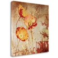 thumbnail image 2 of Tangletown Fine Art Poppy Heat II By Tandi Venter,  Gallery Wrap Canvas 35 x 35, 2 of 2