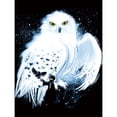 thumbnail image 1 of 5D DIY Diamond Painting Kits Full Square Drill Hedwig mosaico cuadro decoración de la pared FLhrweasw Nuevo, 1 of 9
