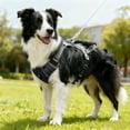 thumbnail image 3 of Adjustable Reflective Chest Strap Harness with Leash Attachment for Secure Outdoor Walking and Training Aid for Dogs and Cats, 3 of 3