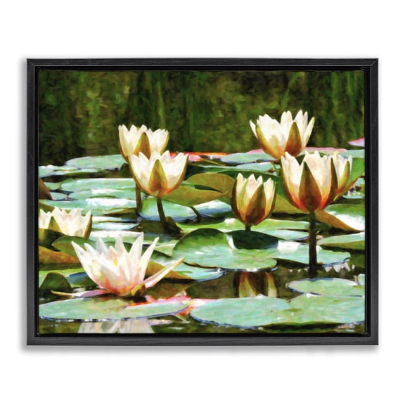 Stupell Industries French Country Pond Lilies Blooming Black Floating Frame Canvas Art, 21 x 17, by Graffitee Studios