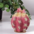 thumbnail image 2 of Northlight 4.5" Flowering Cactus Artificial Plant Table Top Decoration - Pink/Yellow, 2 of 2