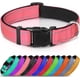 thumbnail image 1 of Collar de nailon para perro con tira reflectante, collar clásico acolchado para perros medianos, rosa, talla M, 1 of 5