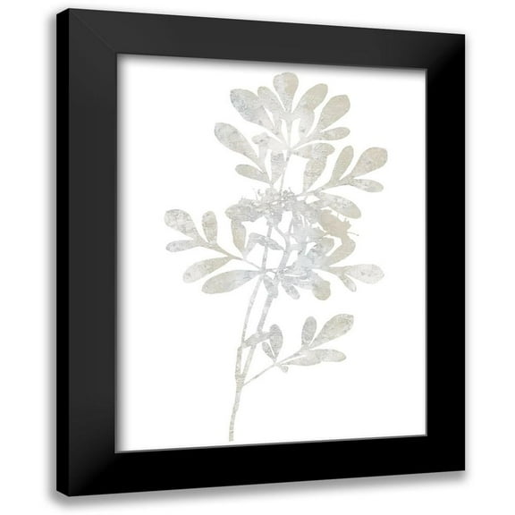 Carson, Danielle 12x14 Black Modern Framed Museum Art Print Titled - Natural Nature II