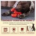 thumbnail image 3 of Duuclume Dog Chew Toy Lobster Pattern Sturdy  Nylon Toys for Medium and Large Dogs Red, 3 of 6
