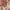 Red Beige, variant on DriftAway Linen Blackout Lined Insulated Energy Saving Privacy Window Curtain Valance Rod Pocket 24"L x 52"W Red Beige