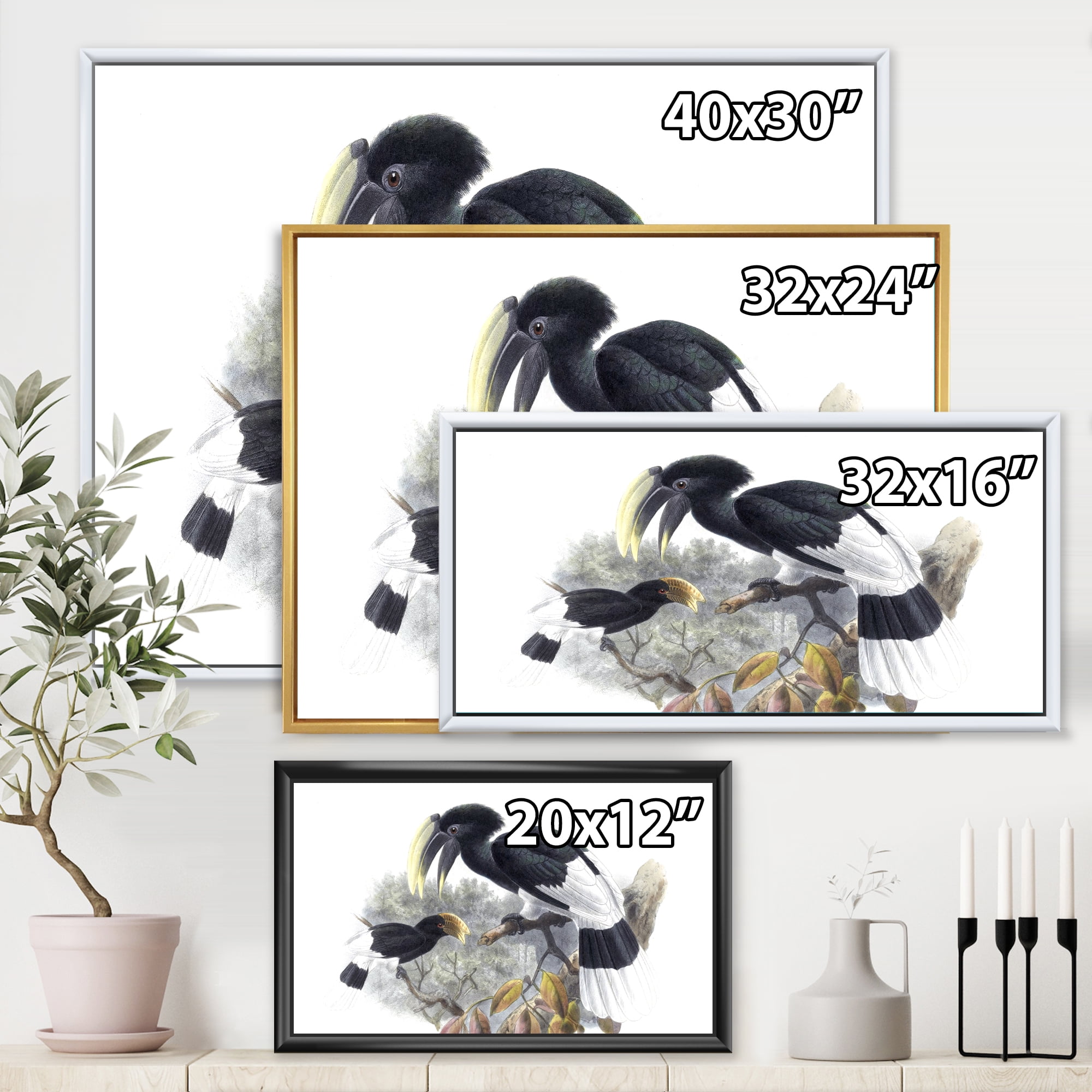 Designart 'Ancient Bird Illustration I' Traditional Framed Canvas Wall Art Print