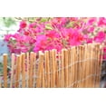 thumbnail image 6 of Backyard X-Scapes Natural Peeled Willow Fencing Rolled Panel Fence 6 ft H x 8 ft H, 6 of 7