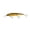 Gold Black Back, variant on Bandit Walleye Shallow