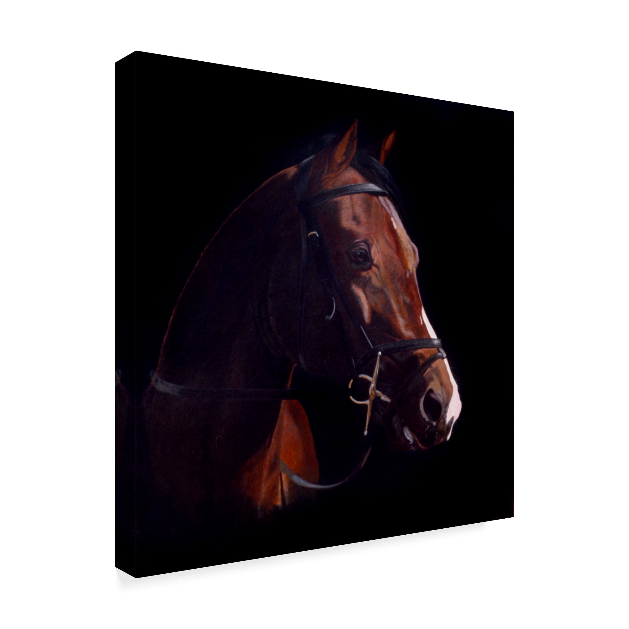 Trademark Fine Art 'Untitled' Canvas Art by Rusty Frentner