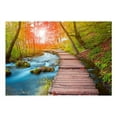 thumbnail image 2 of Tiptophomedecor Peel and Stick Forest Wallpaper Wall Mural - Oasis Of Peace - Removable Wall Decals, 2 of 3