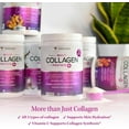 thumbnail image 6 of Vitauthority Multi Collagen Peptides Beauty Supplement, Hydrolyzed Protein Powder with Vitamin C & Hyaluronic Acid, Unflavored, 8.26 oz, 6 of 7