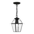 thumbnail image 3 of Livex Lighting Westover 1 Light Outdoor Chain Lant, 3 of 5