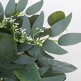 thumbnail image 2 of Corona de eucalipto verde artificial, corona de vegetación de 15 pulgadas con racimos de flores blancas, mini corona de primavera/verano para decoración de ventanas, paredes y puertas de entrada, 2 of 4