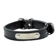 thumbnail image 1 of kurtrusly Collier à Sangle pour Chiot Petit Grand Chien en Nylon avec Boucle Réglable Noir TG, 1 of 6