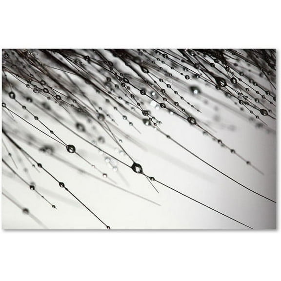 Trademark Fine Art "Her Wishes" Canvas Art by Beata Czyzowska Young